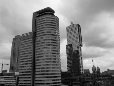 Hollanda Rotterdam şehir