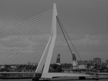 Hollanda Rotterdam şehir