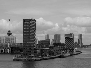 Hollanda Rotterdam şehir