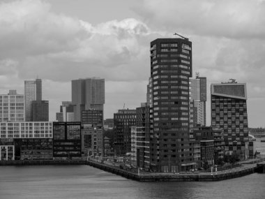 Hollanda Rotterdam şehir