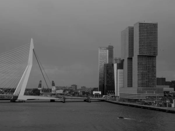 Ciudad Rotterdam Los Países Bajos —  Fotos de Stock