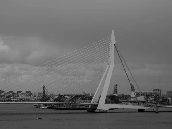Ville Rotterdam Aux Pays Bas — Photo