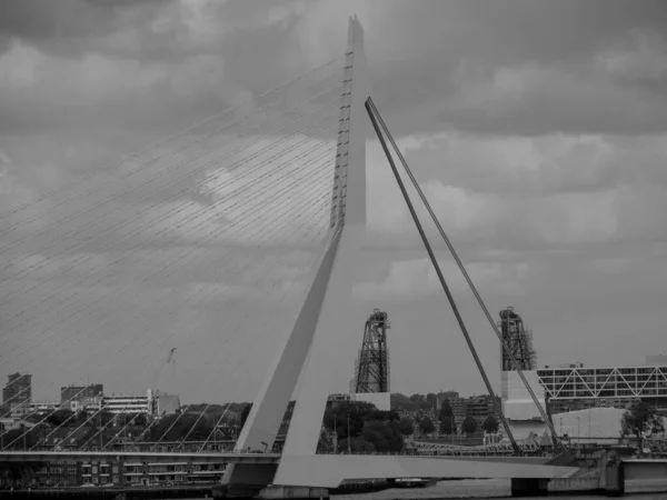 Ville Rotterdam Aux Pays Bas — Photo