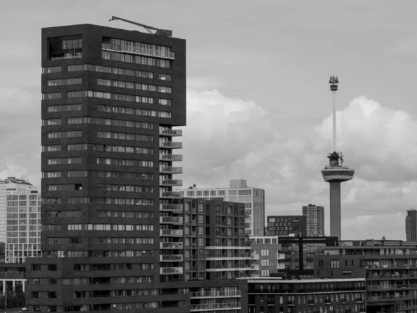Staden Rotterdam Nederländerna — Stockfoto