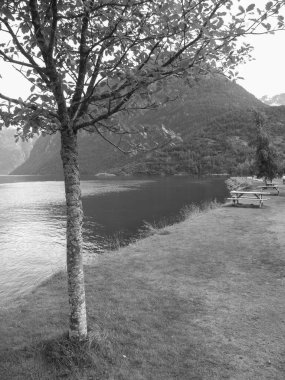 Norveç 'in güzelliği