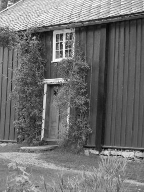 Norveç 'in güzelliği