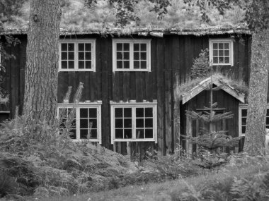 Norveç 'in güzelliği