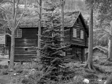 Norveç 'te gemi yolculuğu