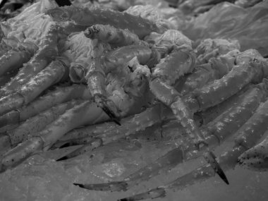 Norveç 'te gemi yolculuğu