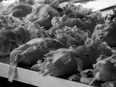 Norveç 'te gemi yolculuğu