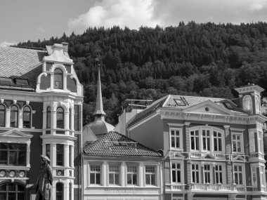 Norveç 'te gemi yolculuğu