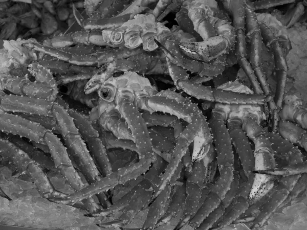 Norveç 'te gemi yolculuğu