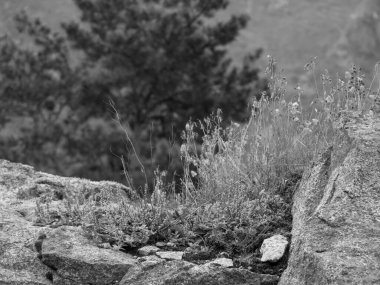 Norveç 'te gemi yolculuğu