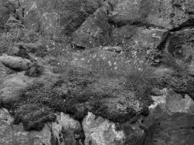 Norveç 'te gemi yolculuğu