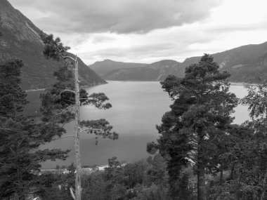 Güzel Norveç 'te gemi yolculuğu