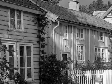 Güzel Norveç 'te gemi yolculuğu