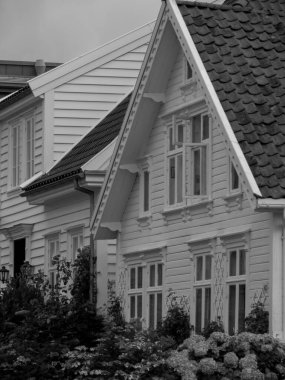 Güzel Norveç 'te gemi yolculuğu