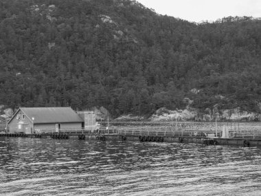 Güzel Norveç 'te gemi yolculuğu