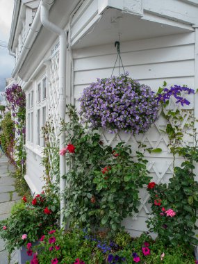 Norveç 'teki Stavanger şehri.