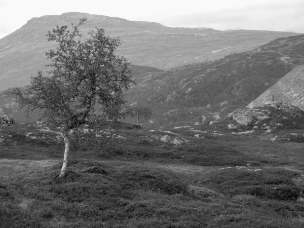 Plavba Lodí Krásné Norway — Stock fotografie