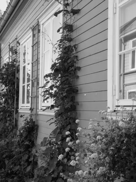 Şehir trondheim Norveç'te