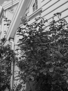 the city of Stavanger i norway