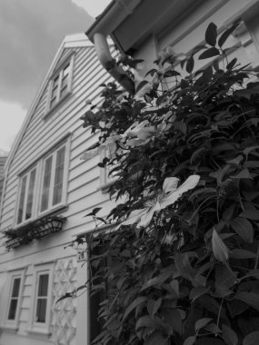 the city of Stavanger i norway