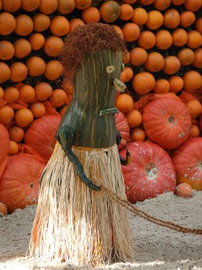 Alman Bahçe kabaklar