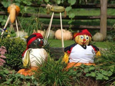 Alman Bahçe kabaklar