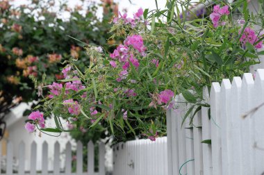 skarhamm at the baltic sea in sweden