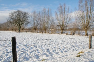 Alman Muensterland 'inde kış mevsimi