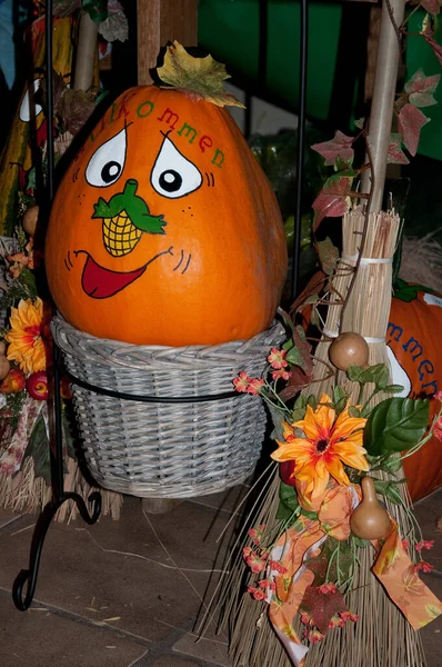 Pumpkins Garden — Stock Photo, Image