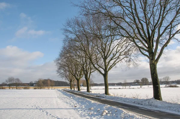 Heure Hiver Dans Pays Des Muentins Allemand — Photo