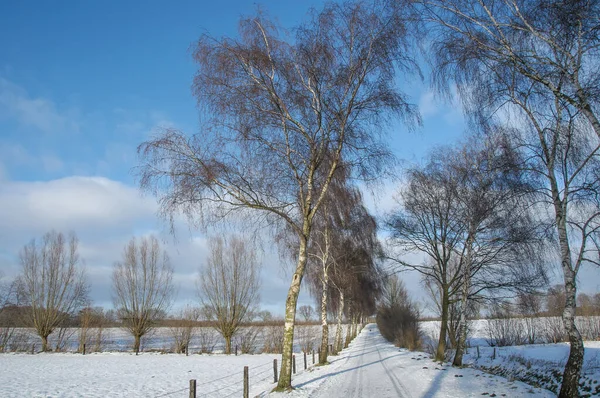 Зимнее Время Германии Muensterland — стоковое фото