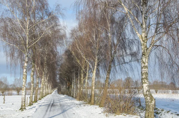 Heure Hiver Dans Pays Des Muentins Allemand — Photo