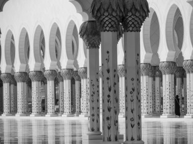 BAE 'deki Abu dhabi şehri.