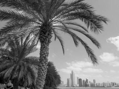 BAE 'deki Abu dhabi şehri.