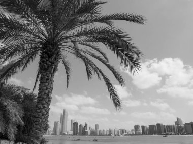 BAE 'deki Abu dhabi şehri.