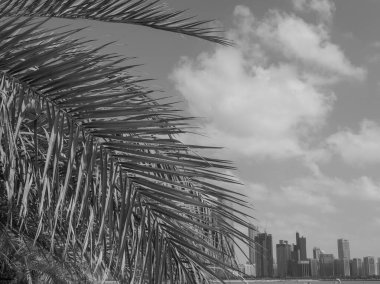 BAE 'deki Abu dhabi şehri.