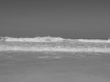 BAE 'deki Abu dhabi şehri.