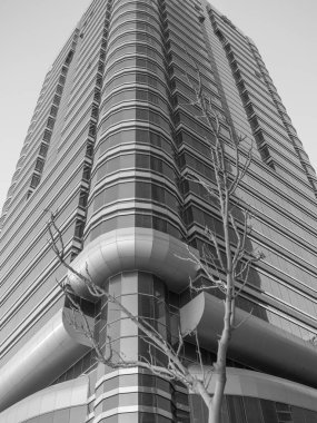 BAE 'deki Abu dhabi şehri.