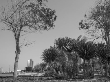 BAE 'deki Abu dhabi şehri.