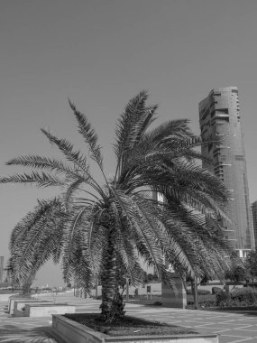 BAE 'deki Abu dhabi şehri.