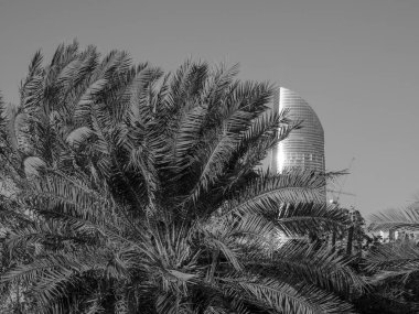 BAE 'deki Abu dhabi şehri.