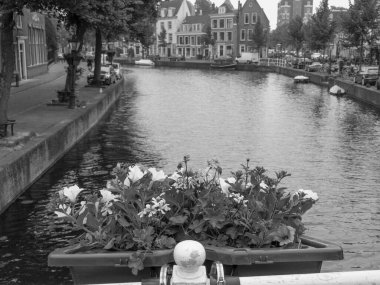 Hollanda 'daki Leiden şehri.