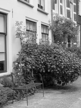 Hollanda 'daki Leiden şehri.