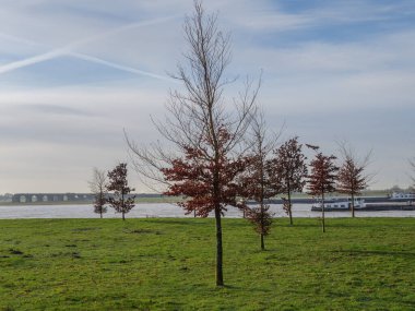 nehir Ren Almanya'da wesel yakınındaki