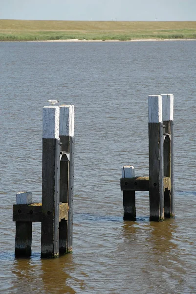 Groet Duitse Noordzee — Stockfoto