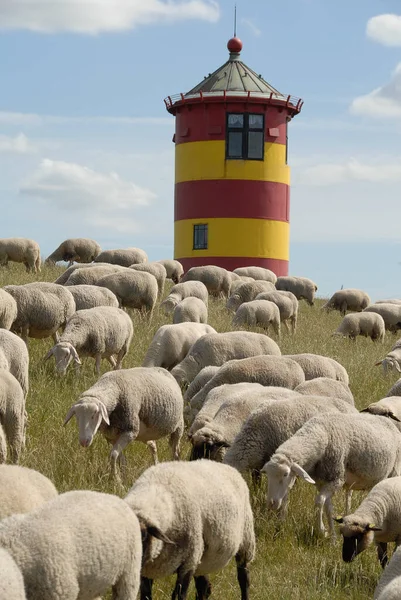 Greetsiel Der Deutschen Nordsee — Stockfoto