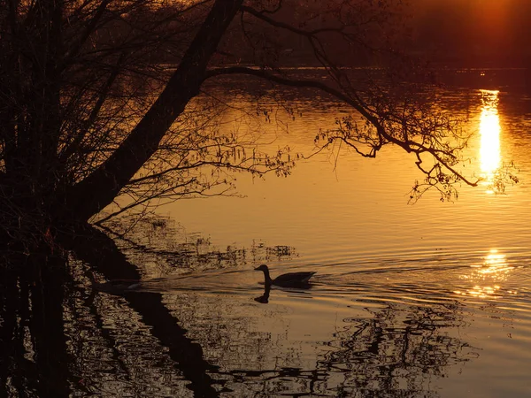 Sundown Lake German Muensterland — Stock Photo, Image